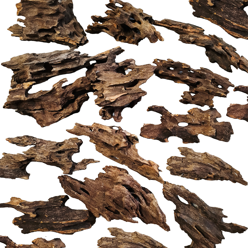 Korzeń Dragon Wood Smoczy Korzeń M 18-30cm Dekoracja Akwarium Hardscape